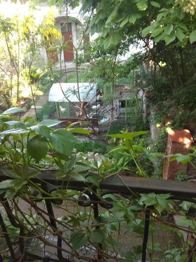 Mangal And Terrace In Center Apartment Lviv Luaran gambar