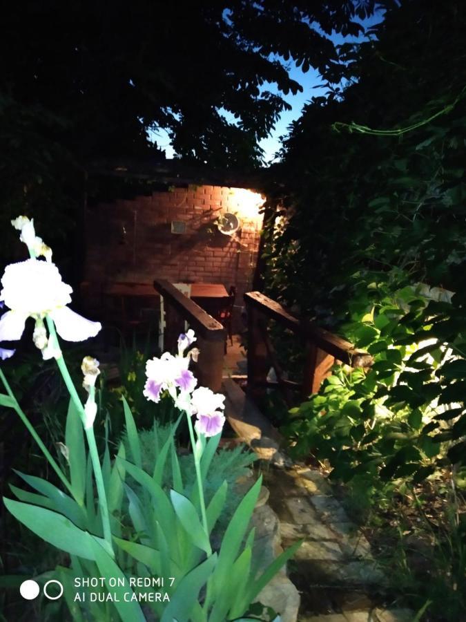 Mangal And Terrace In Center Apartment Lviv Luaran gambar
